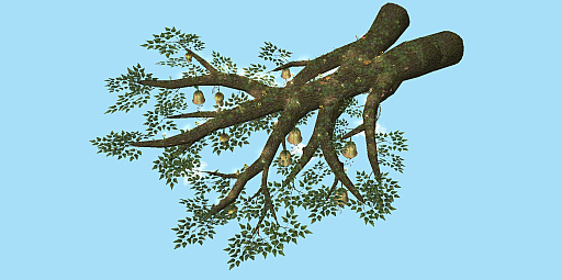 画像ギャラリー No.011のサムネイル画像 / ［インタビュー］新職業“ドルイド”の存在も明かされた「ラグナロクオンライン」。新たなストーリークエスト「世界樹の詩 序章（仮）」は春にスタート！