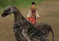 「天道オンライン」,2月26日に大型アップデート実施。新たな「霊獣」の追加,ハイレベル向けの新エリア,細かなバランス調整など