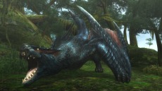 画像集 No.005のサムネイル画像 / 迅竜ナルガクルガが4月27日に狩猟解禁。「モンスターハンターフロンティアG」大型アップデート「G10」の追加情報を公開