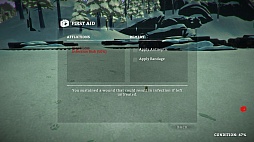 画像ギャラリー No.014のサムネイル画像 / ハロー!Steam広場 第39回:今週の敵は寒さと怨霊。極寒の地で生き延びるサバイバルアドベンチャー「The Long Dark」などを紹介