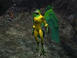 #012Υͥ/EQIIγĥѥå4ơEverQuest II Rise of KunarkפΥץ쥤ݡȤǺ