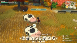 ꡼ No.009Υͥ / ˿ǥΤΥҥҥ硼 860֥Ȥ