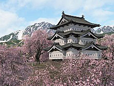 画像ギャラリー No.006のサムネイル画像 / 4Gamerの1週間を振り返る「Weekly 4Gamer」,2026年4月6日〜4月12日