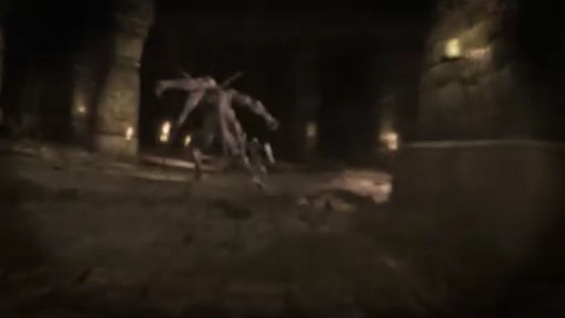 Wizardry OnlineE3 2011ǥץ⡼ࡼӡ