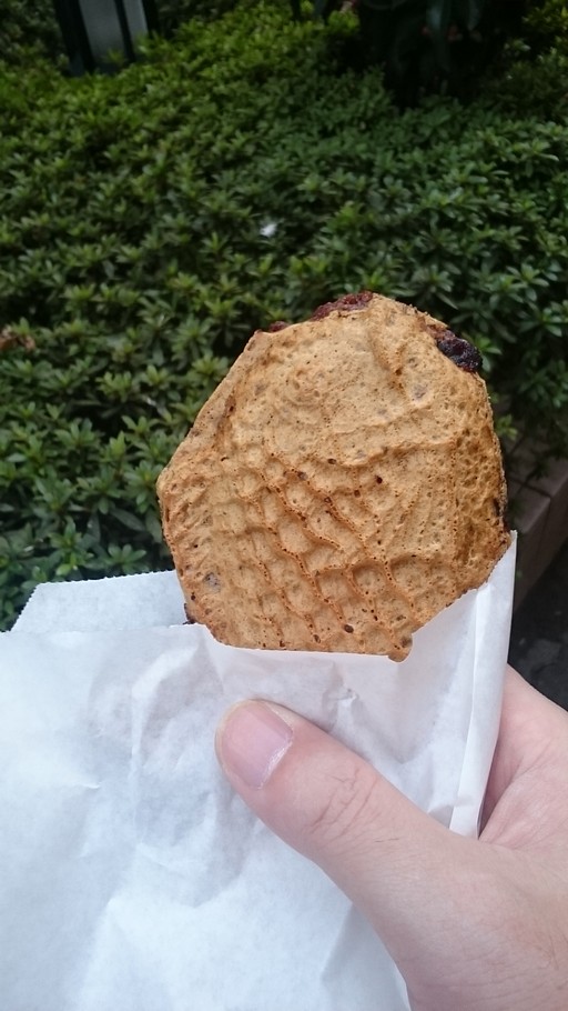 画像ギャラリー No.003のサムネイル画像 / 世界で一番「TERA」かわいい写真を投稿しよう。プレゼント総額100万円相当の「#テラかわいいコンテンスト」が開催中