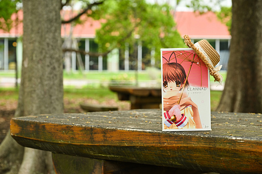  No.003Υͥ / CLANNAD򰦤ͤϡYahoo!ǼĤˤ
