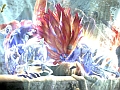 PS3/Xbox 360版「真・三國無双 MULTI RAID Special」の新要素を公開,南中王「孟獲」も登場