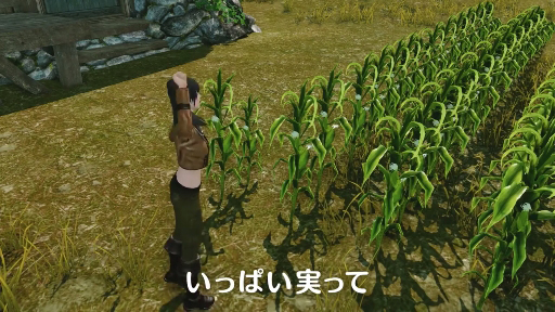 ArcheAge TVCMְƤť