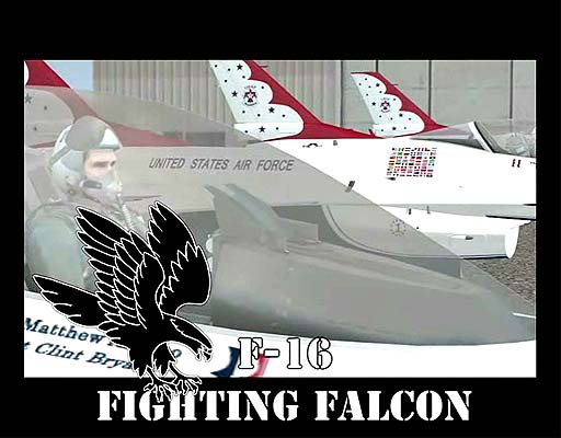 Aerosoft F-16 Fighting Falcon Xץץ⡼ࡼӡ