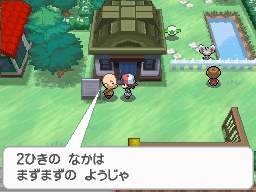 画像ギャラリー No.010のサムネイル画像 / 「ポケットモンスター ブラック・ホワイト」，イベントでもらえる“うたうピカチュウ”は歌って踊れるすごいやつ