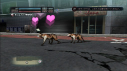 #013Υͥ/TOKYO JUNGLEפΥХХ⡼ɤ󤹤롣Ῡĥ򤷤ơ᥹ʤӤ夷ʤ顤ҤӤ