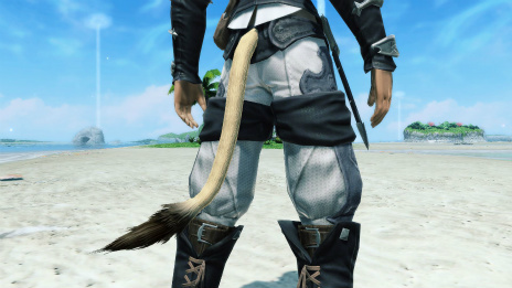 画像ギャラリー No.078のサムネイル画像 / 「PSO2」×「FFXIV」コラボ，ついに始動。境界を超えたボス・闘神オーディンが登場する期間限定クエストやコラボスクラッチが配信