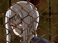 5pb.の新作アドベンチャー「DUNAMIS15」の公式サイトが本日オープン。隔離された孤島を舞台に“繰り返される”物語