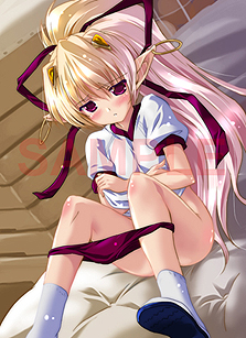 画像集#004のサムネイル/PSP「白銀のカルと蒼空の女王」,駒都えーじ氏の描き下ろしイラストをあしらった店舗別購入特典を公開