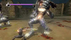 画像集#011のサムネイル/「NINJA GAIDEN Σ PLUS」,本日発売。初心者から上級者まで楽しめる新要素「忍びの道」の詳細が公開