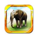REAL ANIMALS HD