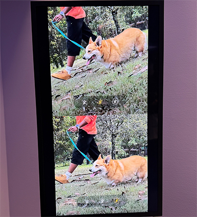 画像ギャラリー No.009のサムネイル画像 / Snapdragon 8 Elite Gen 5採用の新型スマホ「Galaxy S26」シリーズが登場。プラスモデルが復活して3モデル展開に