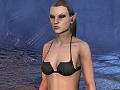 「The Elder Scrolls Online」Public Test Serverで確認できたキャラエディット機能とグラフィックス要素