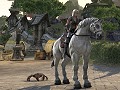 「The Elder Scrolls Online」でクローズドβテスト開催中。PTSでは製品版に付属する特典アイテムが公開に