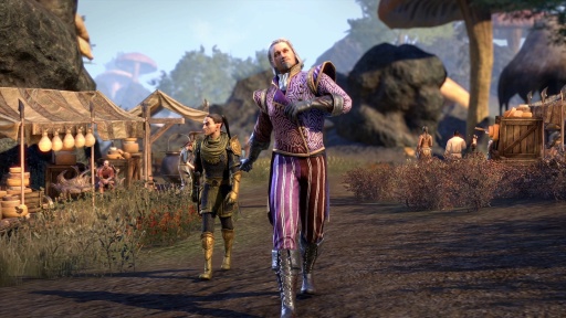 画像ギャラリー No.026のサムネイル画像 / 「エルダー・スクロールズ・オンライン」の2026年は夜の市場から始まり，盗賊ギルドが再始動。シェオゴラスも大騒動を起こすと思ったら，冒険の舞台は外洋と嵐のスカイリムへ