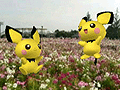 「ポケモン全国図鑑Pro」本日配信開始。全シリーズのポケモン情報を網羅,隠れ特性やタイプ相性も調べられる