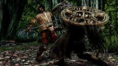画像集#017のサムネイル/「DARK SOULS II」,4回目のネットワークテストを11月10日16:00〜19:00に追加実施。新たなスクリーンショットも多数公開