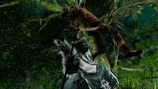 画像集#019のサムネイル/「DARK SOULS II」,4回目のネットワークテストを11月10日16:00〜19:00に追加実施。新たなスクリーンショットも多数公開
