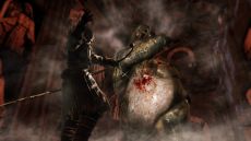 画像集#020のサムネイル/「DARK SOULS II」,4回目のネットワークテストを11月10日16:00〜19:00に追加実施。新たなスクリーンショットも多数公開
