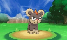 ���������꡼ No.049�Υ���ͥ������ / �֥ݥ��åȥ�󥹥��� X��Y�ס������᥿����ǽв񤦥���饯�����֥��ʡס֥ƥ�����Ρס֥ȥ��Сס֥����/�����פξ���ʤɤ������ˡ����ݥ�����