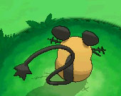 画像ギャラリー No.046のサムネイル画像 / 新たな進化「メガシンカ」とは何か。「ポケットモンスター X」「ポケットモンスター Y」の最新情報が続々公開