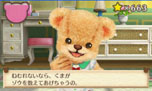 画像集#031のサムネイル/「しんゆうができちゃうゲーム クマ♡トモ」,クマとのおしゃべりで楽しめる会話のバリエーションが明らかに。クマのプロフィールも判明