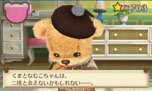 画像集#054のサムネイル/「しんゆうができちゃうゲーム クマ♡トモ」,クマとのおしゃべりで楽しめる会話のバリエーションが明らかに。クマのプロフィールも判明