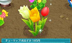 画像集#005のサムネイル/「クマ・トモ」ダウンロード版が6月20日発売。庭で可愛い植物を育てる「ガーデニング」やミニゲームとして楽しめる「料理」などが公開に