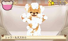 画像集#053のサムネイル/「クマ・トモ」ダウンロード版が6月20日発売。庭で可愛い植物を育てる「ガーデニング」やミニゲームとして楽しめる「料理」などが公開に