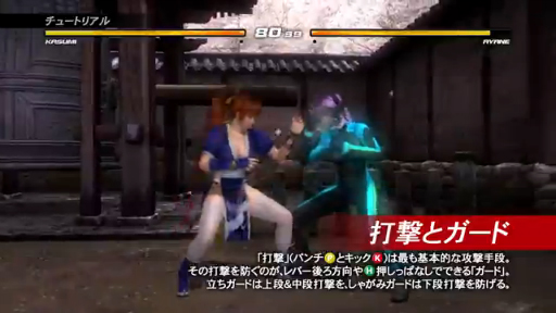 DEAD OR ALIVE 5 Ultimate: Arcade١塼ȥꥢࡼӡ