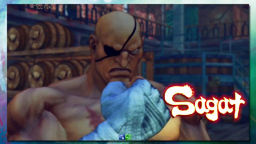 ULTRA STREET FIGHTER IV ץ쥤 å