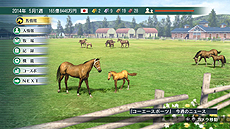画像集#014のサムネイル/「ウイポ」シリーズの“集大成”となる「Winning Post 8」が発表。PC版が2014年2月28日,PS3版/PS Vita版が同3月27日に発売