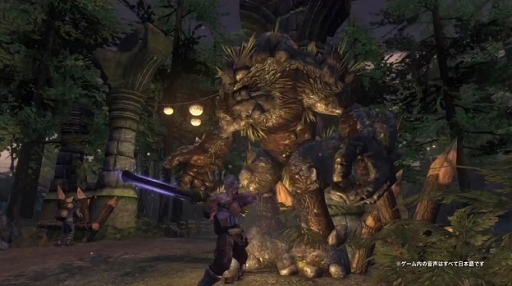 Fable Anniversary ץ쥤ȥ졼顼