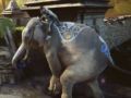 「Far Cry 4」,ゲームの魅力が詰まったWeb限定CMを2本公開。PS4版の初回特典に「PS Plus15日無料体験券」が追加