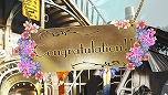 画像集#036のサムネイル/「シェルノサージュ OFFLINE」,とあるプレイヤーの1日を追う体験レポートが公開。初回特典であるコスチューム「巫女服」のビジュアルも