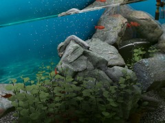ハロー!Steam広場 第247回:ドラッグ&ドロップで水槽を立ち上げられるシミュレーションゲーム「Biotope」。水質管理は割とガチめ