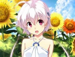 PS Vita版「ひまわり-Pebble in the Sky-」謎の少女アリエス（CV：野中 藍）など登場キャラクター情報が公開に