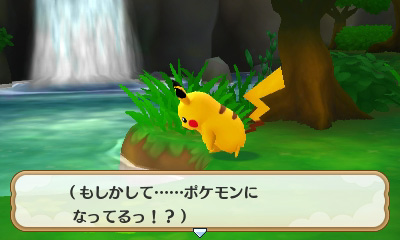 画像集 No.027のサムネイル画像 / 「ポケモン超不思議のダンジョン」の新情報が公開。早期購入特典としてHOMEメニューのきせかえテーマや3Dステッカーがプレゼントされる