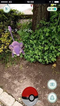 ꡼ No.008 | Pok&#00233;mon GO