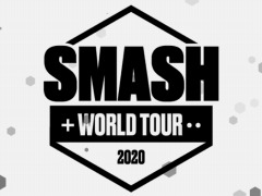 ޶25ɥ롤ޥ֥饷꡼ĥSMASH WORLD TOURפšͽ饦ɤ313