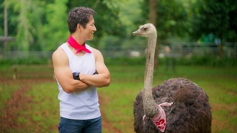 画像ギャラリー No.008のサムネイル画像 / 「ウマ娘 プリティーダービー」,ケイン・コスギさんと一緒にエクササイズできる動画“ケイン's スキルアップアイランド”を公開