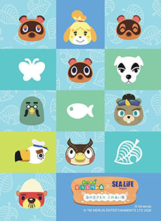 画像ギャラリー No.003のサムネイル画像 / 「あつ森」と名古屋シーライフ水族館がコラボした「海の生きもの ふれあい展」，1月30日より開催決定