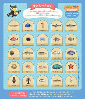 画像ギャラリー No.004のサムネイル画像 / 「あつ森」と名古屋シーライフ水族館がコラボした「海の生きもの ふれあい展」，1月30日より開催決定