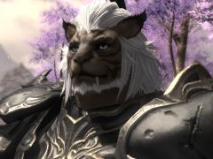 「FFXIV:漆黒のヴィランズ」ベンチマークで新種族のキャラメイクをやってみよう。僕の考えた最強の「ロスガル」と「ヴィエラ」を見てくれ