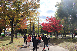 画像ギャラリー No.021のサムネイル画像 / 第5回「ドラゴンクエストウォーキング＜東北＞」＆「ドラゴンクエストウォーク秋祭り」レポート。秋の仙台が「DQウォーク」で彩られた4日間。次回開催日も発表